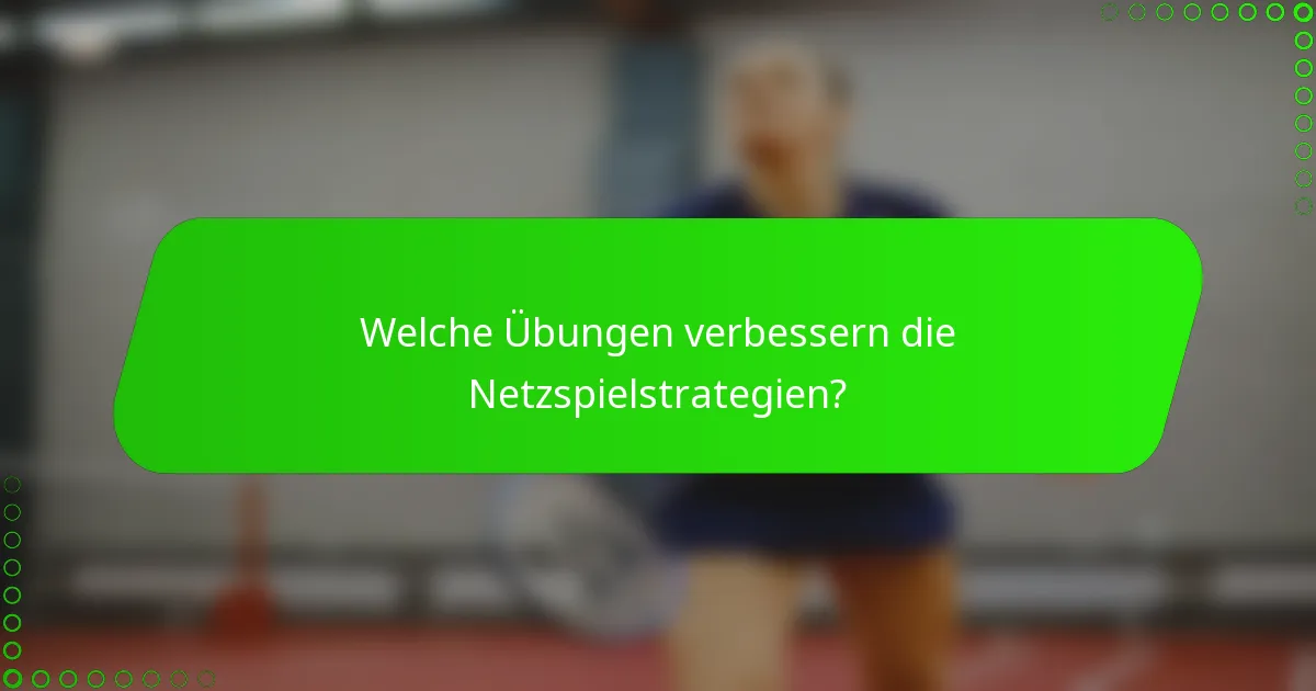 Welche Übungen verbessern die Netzspielstrategien?
